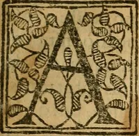 An illustration from Reportorio dos tempos, muy to curioso: : acrecentado & emendado de nouo.. (1590)