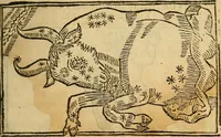 An illustration from Reportorio dos tempos, muy to curioso: : acrecentado & emendado de nouo.. (1590)