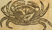 An illustration from Reportorio dos tempos, muy to curioso: : acrecentado & emendado de nouo.. (1590)