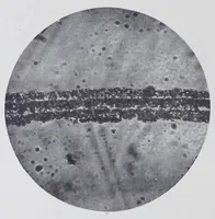 An illustration from Reports (1908)