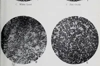 An illustration from Reports (1908)