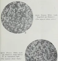 Picture 4 of 16 from Reports (1908), leaf 255