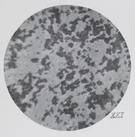 Picture 15 of 16 from Reports (1908), leaf 641