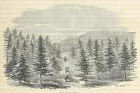 An illustration from Reports of explorations and surveys, to ascertain the most practicable and economical route for a railroad from the Mississippi River to the Pacific Ocean (1855)