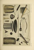 An illustration from Reports of explorations and surveys, to ascertain the most practicable and economical route for a railroad from the Mississippi River to the Pacific Ocean (1855)