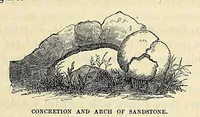 Picture 2 of 8 from Reports of explorations and surveys, to ascertain the most practicable and economical route for a railroad from the Mississippi River to the Pacific Ocean (1855), leaf 151