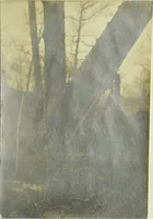 An illustration from Report upon a highway bridge (1904)