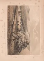 An illustration from Report upon the Indian tribes (1855)