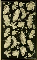 An illustration from The Repository of arts, literature, commerce, manufactures, fashions and politics (1809)