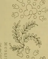 An illustration from The Repository of arts, literature, commerce, manufactures, fashions and politics (1809)