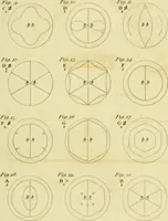 An illustration from The Repository of arts, literature, commerce, manufactures, fashions and politics (1809)