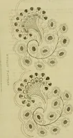 An illustration from The Repository of arts, literature, commerce, manufactures, fashions and politics (1809)