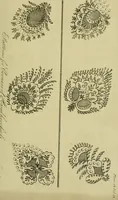 An illustration from The Repository of arts, literature, commerce, manufactures, fashions and politics (1809)