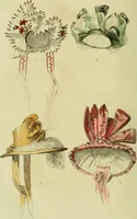 An illustration from The Repository of arts, literature, commerce, manufactures, fashions and politics (1809)