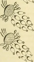 An illustration from The Repository of arts, literature, commerce, manufactures, fashions and politics (1809)