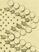 An illustration from The Repository of arts, literature, commerce, manufactures, fashions and politics (1809)