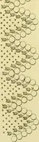 An illustration from The Repository of arts, literature, commerce, manufactures, fashions and politics (1809)
