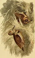 An illustration from The Repository of arts, literature, commerce, manufactures, fashions and politics (1809)