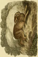 An illustration from The Repository of arts, literature, commerce, manufactures, fashions and politics (1809)