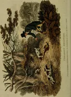 An illustration from The Repository of arts, literature, commerce, manufactures, fashions and politics (1809)