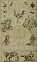 An illustration from The Repository of arts, literature, commerce, manufactures, fashions and politics (1809)