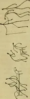 An illustration from The Repository of arts, literature, commerce, manufactures, fashions and politics (1809)