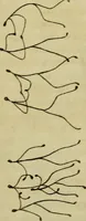 An illustration from The Repository of arts, literature, commerce, manufactures, fashions and politics (1809)