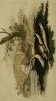 Picture 41 of 46 from The Repository of arts, literature, commerce, manufactures, fashions and politics (1809), leaf 447