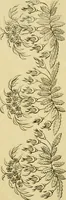 An illustration from The Repository of arts, literature, commerce, manufactures, fashions and politics (1809)