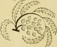 An illustration from The Repository of arts, literature, commerce, manufactures, fashions and politics (1809)