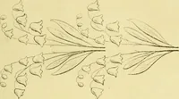 An illustration from The Repository of arts, literature, commerce, manufactures, fashions and politics (1809)