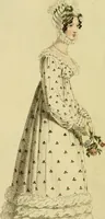 Picture 7 of 47 from The Repository of arts, literature, commerce, manufactures, fashions and politics (1809), leaf 71