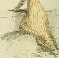 Picture 17 of 40 from The Repository of arts, literature, commerce, manufactures, fashions and politics (1809), leaf 219