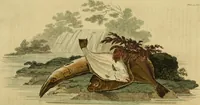 Picture 17 of 40 from The Repository of arts, literature, commerce, manufactures, fashions and politics (1809), leaf 201