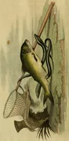 An illustration from The Repository of arts, literature, commerce, manufactures, fashions and politics (1809)