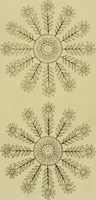 An illustration from The Repository of arts, literature, commerce, manufactures, fashions and politics (1809)
