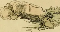 An illustration from The Repository of arts, literature, commerce, manufactures, fashions and politics (1809)