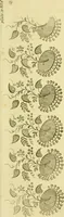 Picture 20 of 43 from The Repository of arts, literature, commerce, manufactures, fashions and politics (1809), leaf 228