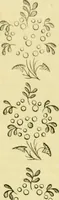 An illustration from The Repository of arts, literature, commerce, manufactures, fashions and politics (1809)
