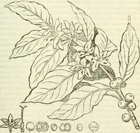 An illustration from The Repository of arts, literature, commerce, manufactures, fashions and politics (1809)