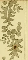 An illustration from The Repository of arts, literature, commerce, manufactures, fashions and politics (1809)