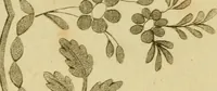 An illustration from The Repository of arts, literature, commerce, manufactures, fashions and politics (1809)