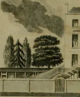 Picture 10 of 62 from The Repository of arts, literature, commerce, manufactures, fashions and politics (1809), leaf 77