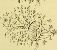 Picture 41 of 48 from The Repository of arts, literature, commerce, manufactures, fashions and politics (1809), leaf 390