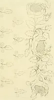 An illustration from The Repository of arts, literature, commerce, manufactures, fashions and politics (1809)