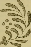 An illustration from The Repository of arts, literature, commerce, manufactures, fashions and politics (1809)