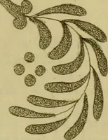 Picture 29 of 64 from The Repository of arts, literature, commerce, manufactures, fashions and politics (1809), leaf 240