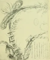 An illustration from Reproduction des uvres de Huquier & Gillot, Epoque Louis XV (1903)
