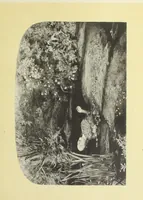 An illustration from Reproductions by the collotype process of some of the works in the loan exhibition of pictures, held in the Art Gallery of the Corporation of London, at the Guildhall, 1892 : with descriptive and biographical letterpress (1892)