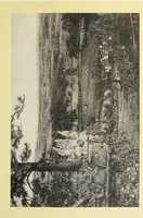 An illustration from Reproductions by the collotype process of some of the works in the loan exhibition of pictures, held in the Art Gallery of the Corporation of London, at the Guildhall, 1892 : with descriptive and biographical letterpress (1892)